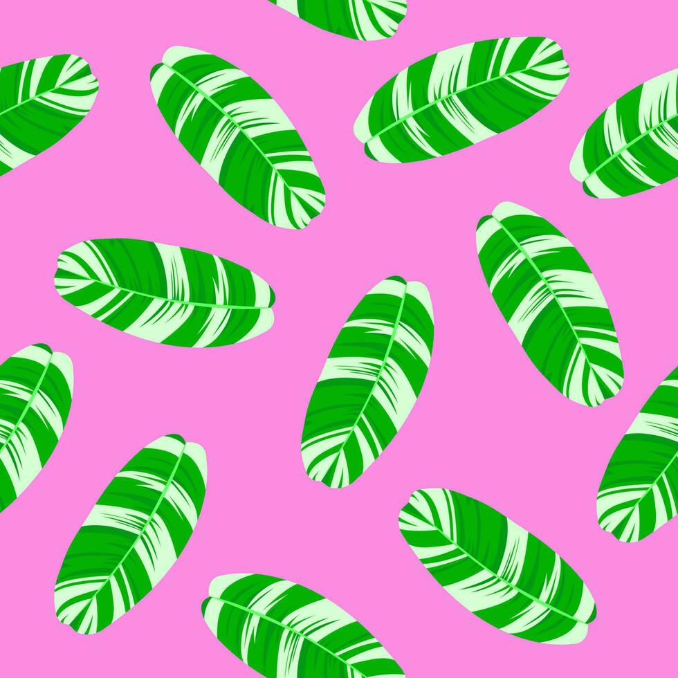 spotted banana leaf background with pink background vector