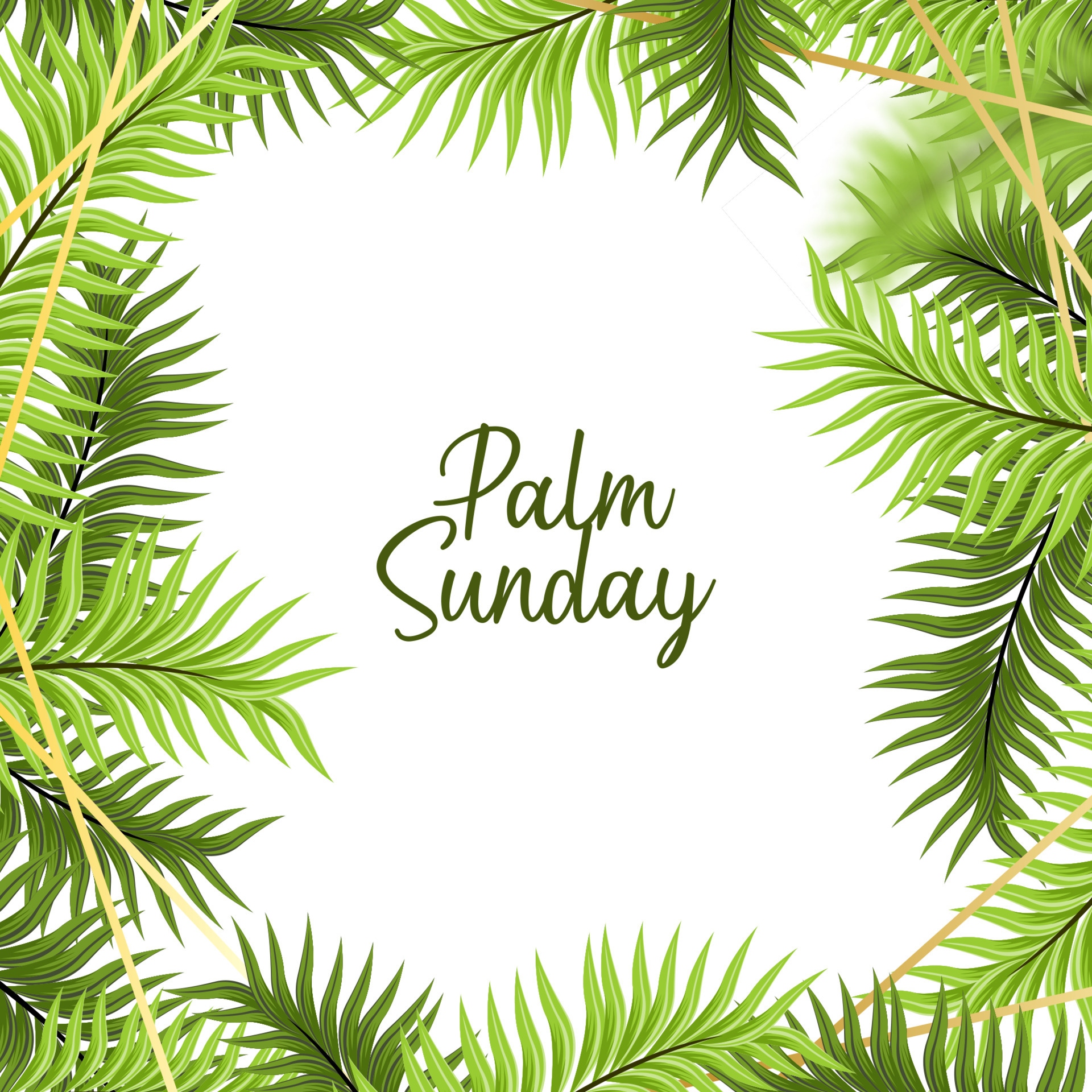 Palm Sunday Background with Floral Frame 4971463 Vector Art at Vecteezy