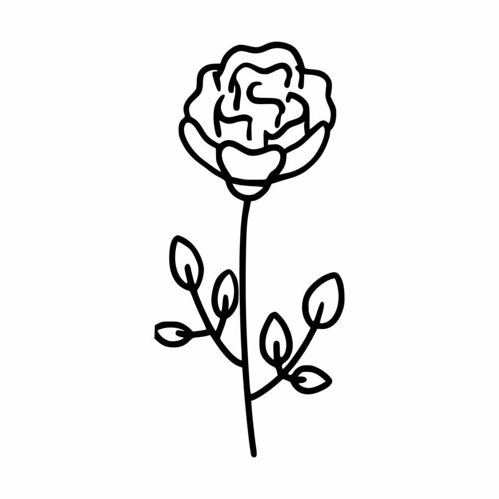 Doodle rose. Sketch of flower. Vector contour icon.