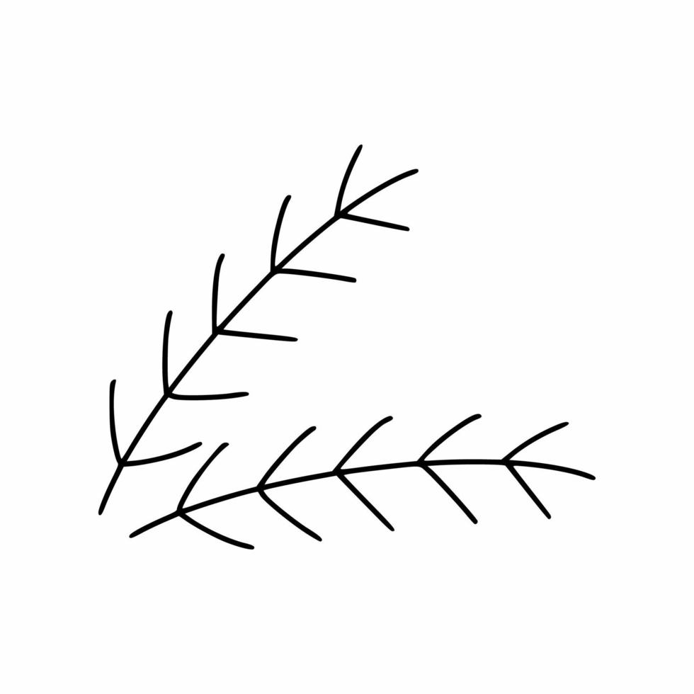 Spruce branch in doodle style. Vector linear icon. Sticker for New Year and Christmas.