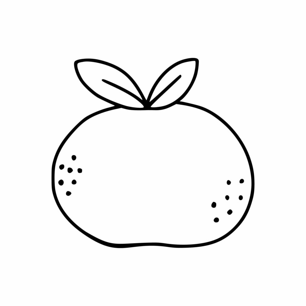 Orange with  doodle style twig. Mandarin coloring book. Fruits and vegetables. Handdrawn illustration. vector