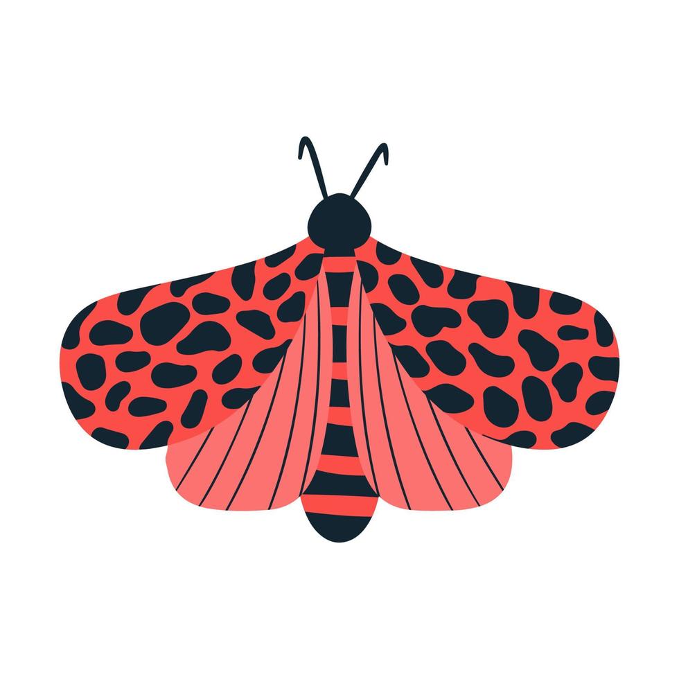 Tropical butterfly moth with multicolored wings and antennae isolated on a white background. Flying moth top view. An exotic spring insect. Vector illustration flat style