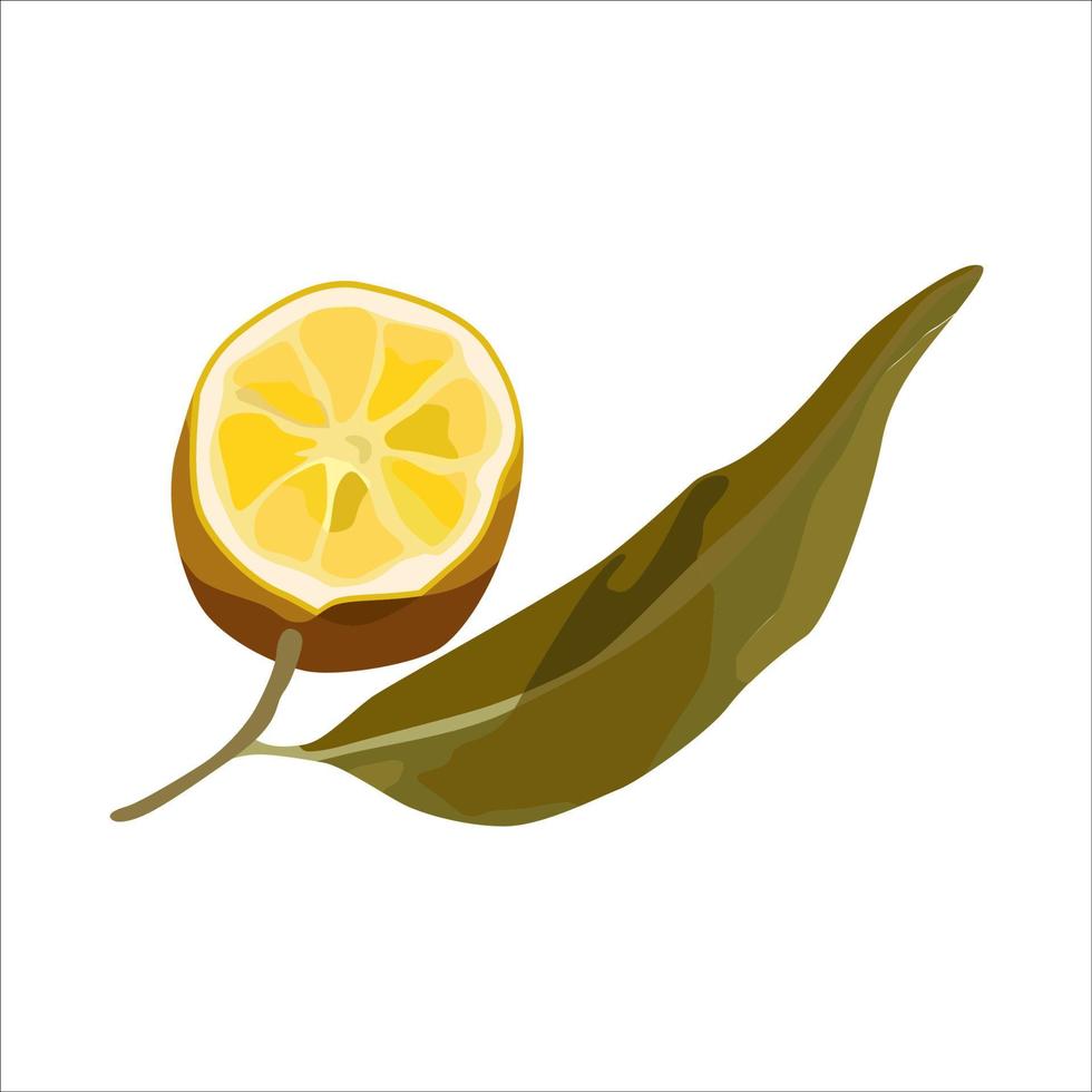 vector realista limón