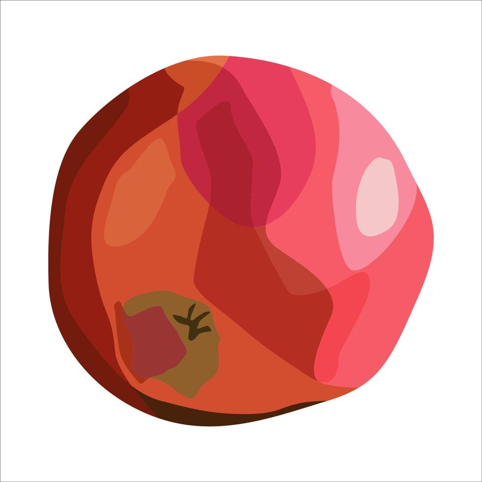 Vector red apple.