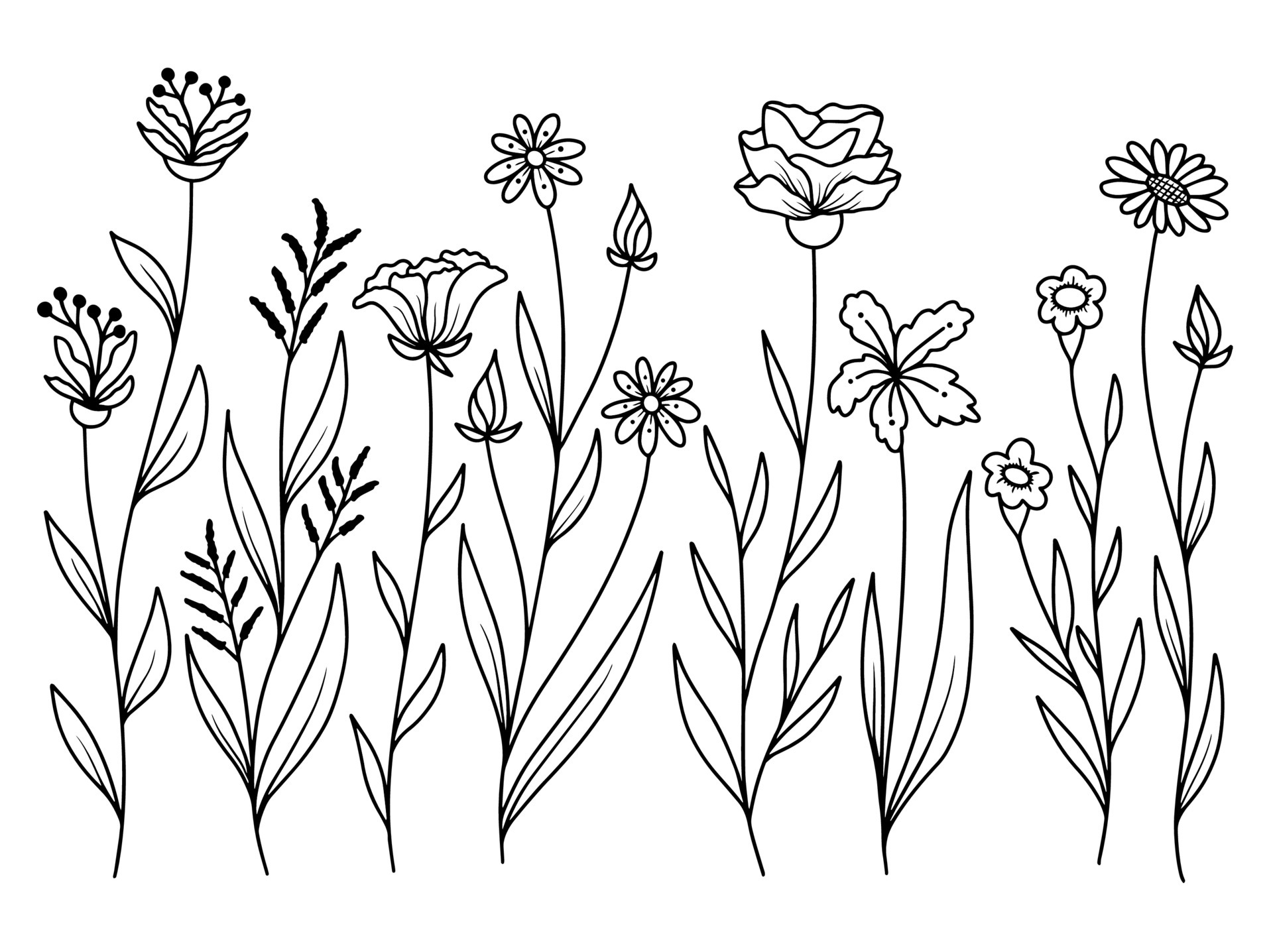 Set of botanical leaf with hand drawn line art flower 4972186 Vector