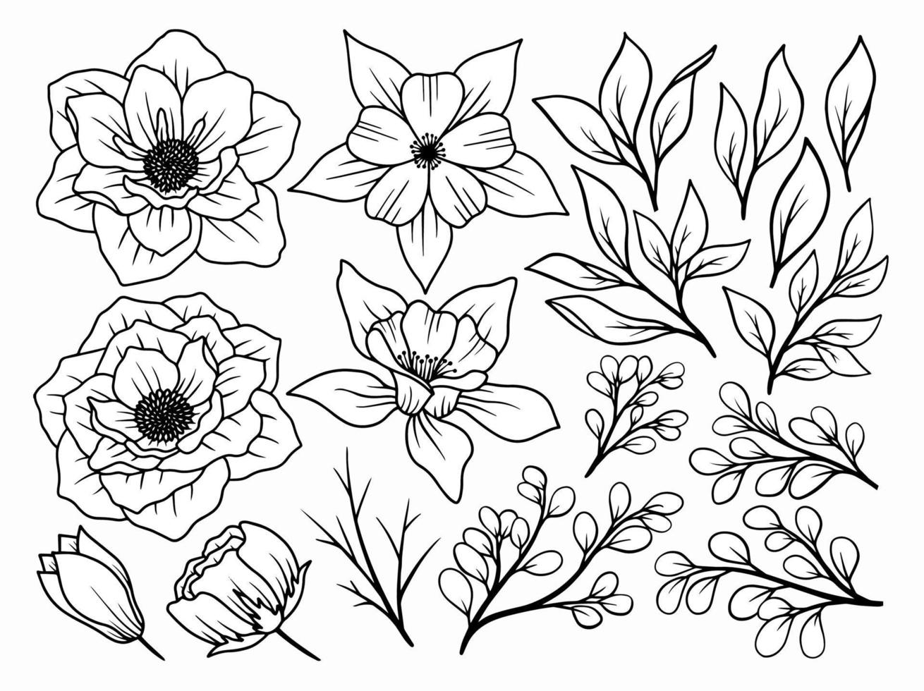 Flowers line art aarangement vector