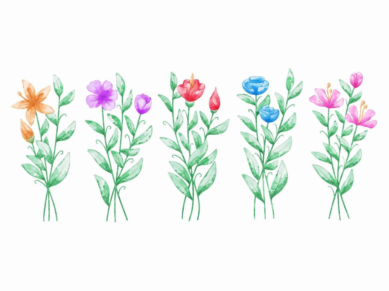 conjunto de flores botánicas acuarela vector