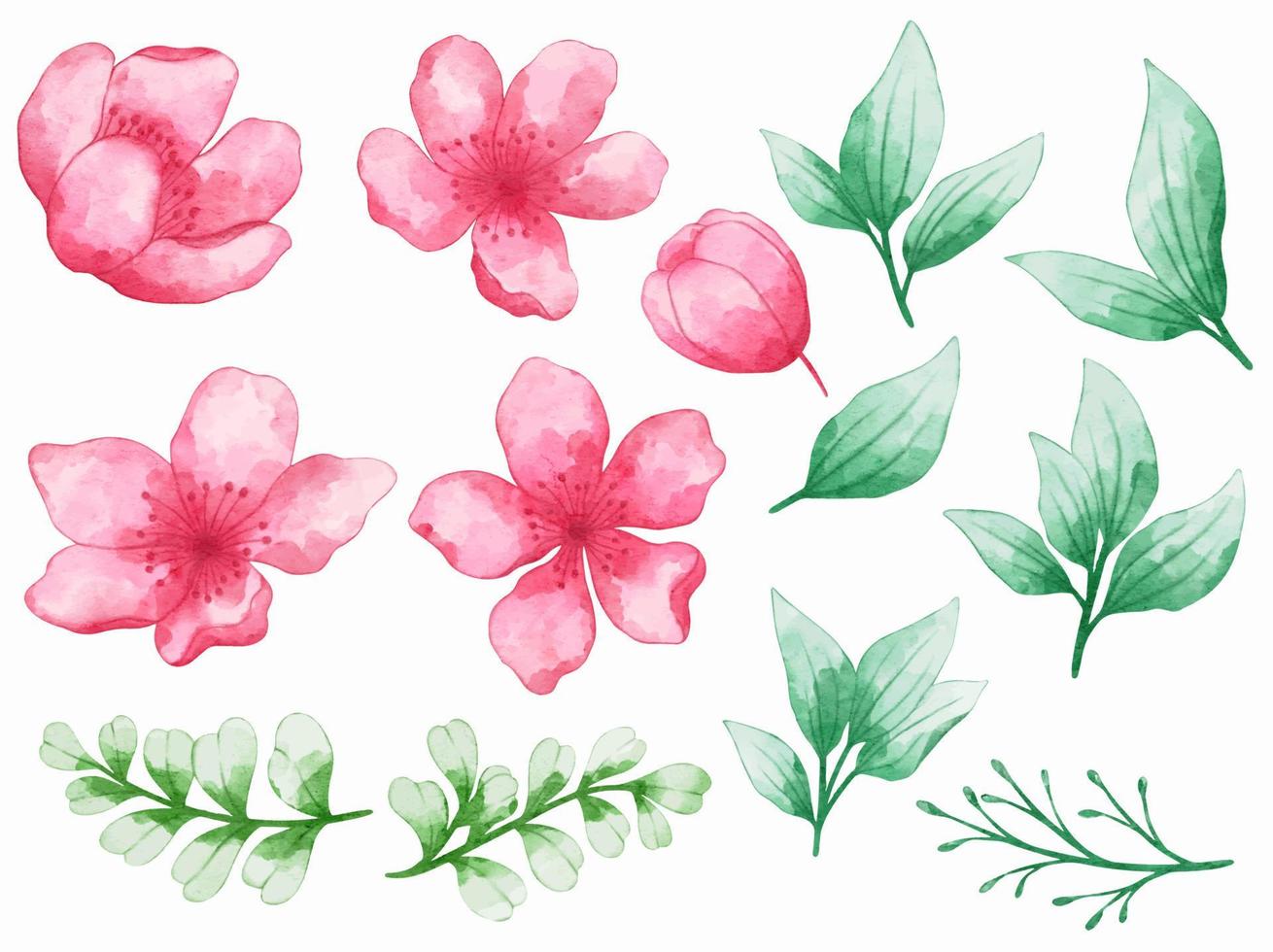 Flowers arrangement watercolor vector