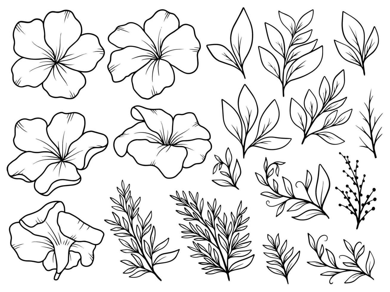 Flower line art arrangement vector