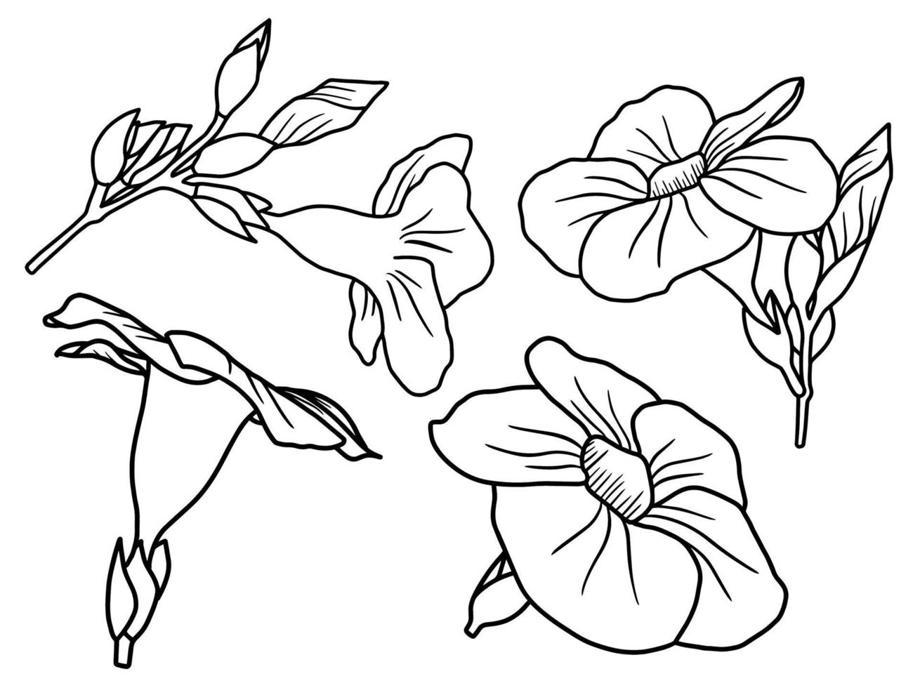 Flowers line art aarangement vector