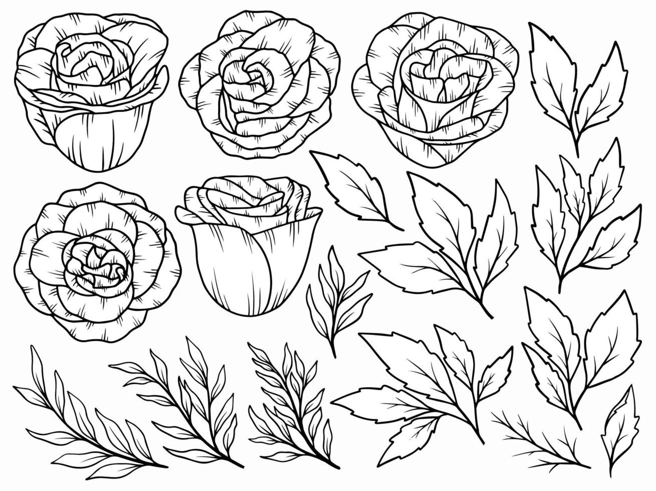 Flowers line art aarangement vector