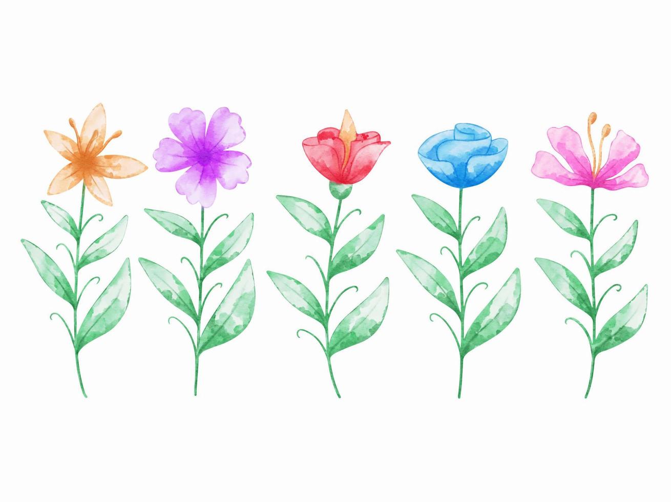 Set of botanical flowers watercolor vector