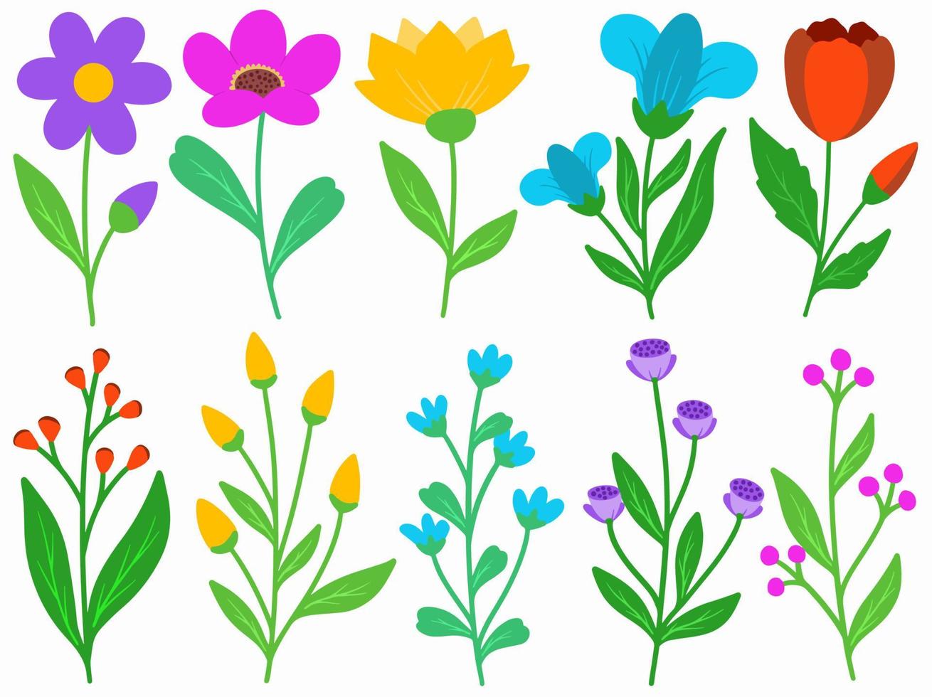 Set of botanical flowers illustration vector