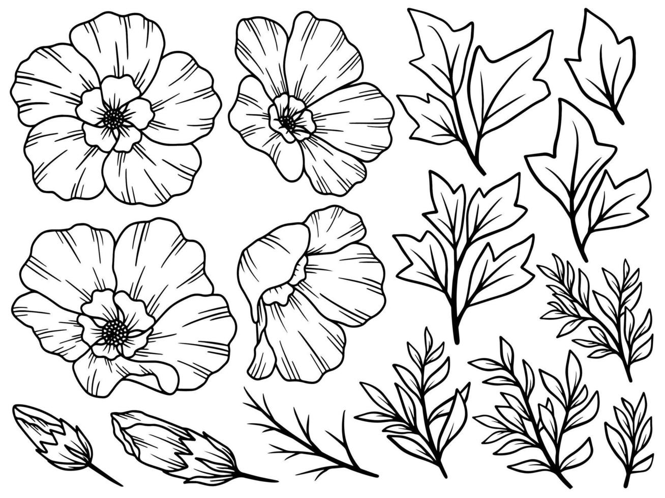 Flower line art arrangement vector