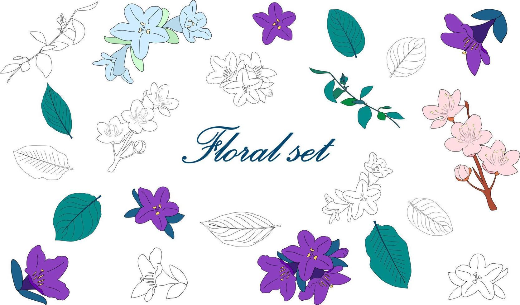 Floral set. Flowers and leaves in color and outline vector