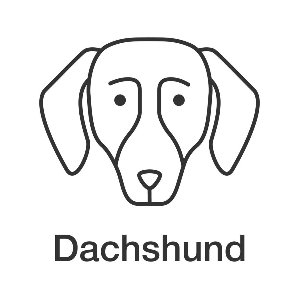 Dachshund linear icon. Thin line illustration. Hotdog. Hound dog breed. Contour symbol. Vector isolated outline drawing