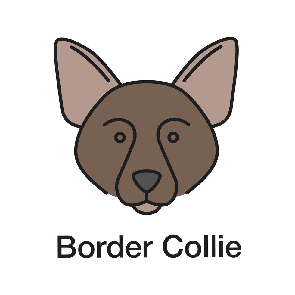 Border collie color icon. Scottish sheepdog. Isolated vector illustration