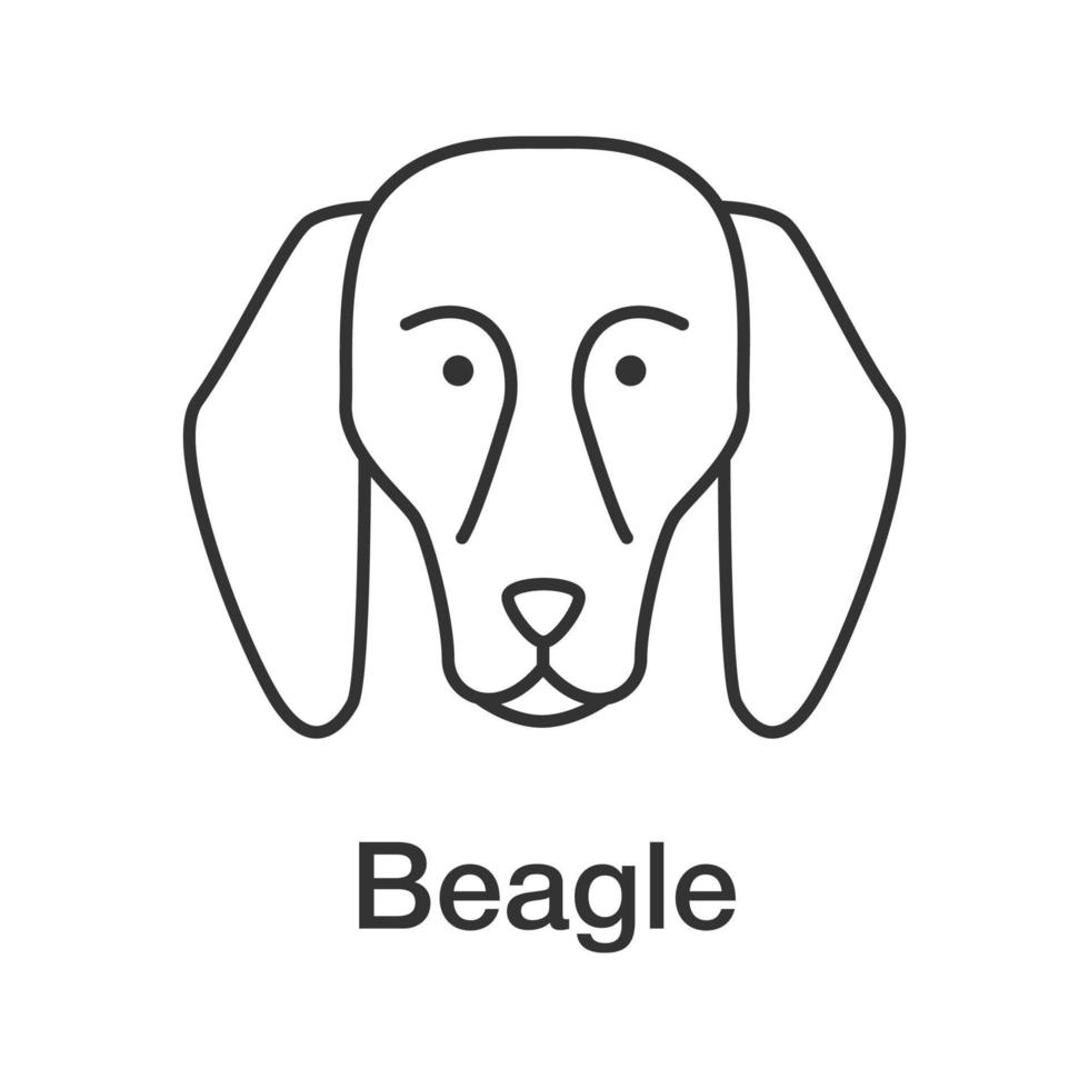 Beagle linear icon. Thin line illustration. Hound dog breed. Contour symbol. Vector isolated outline drawing