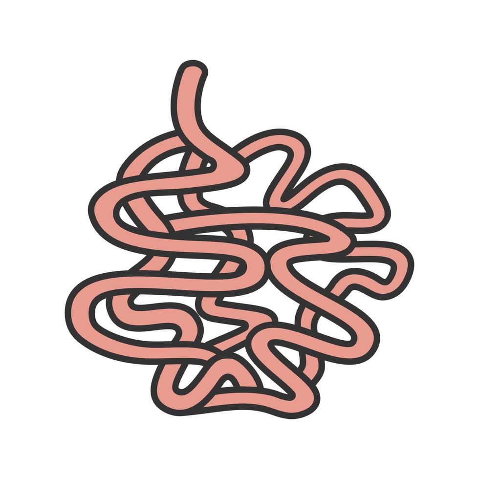 Small intestine color icon. Small bowel. Gastrointestinal tract. Isolated vector illustration