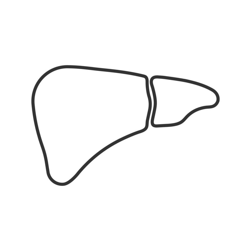 Liver linear icon. Thin line illustration. Digestive gland. Contour symbol. Vector isolated outline drawing