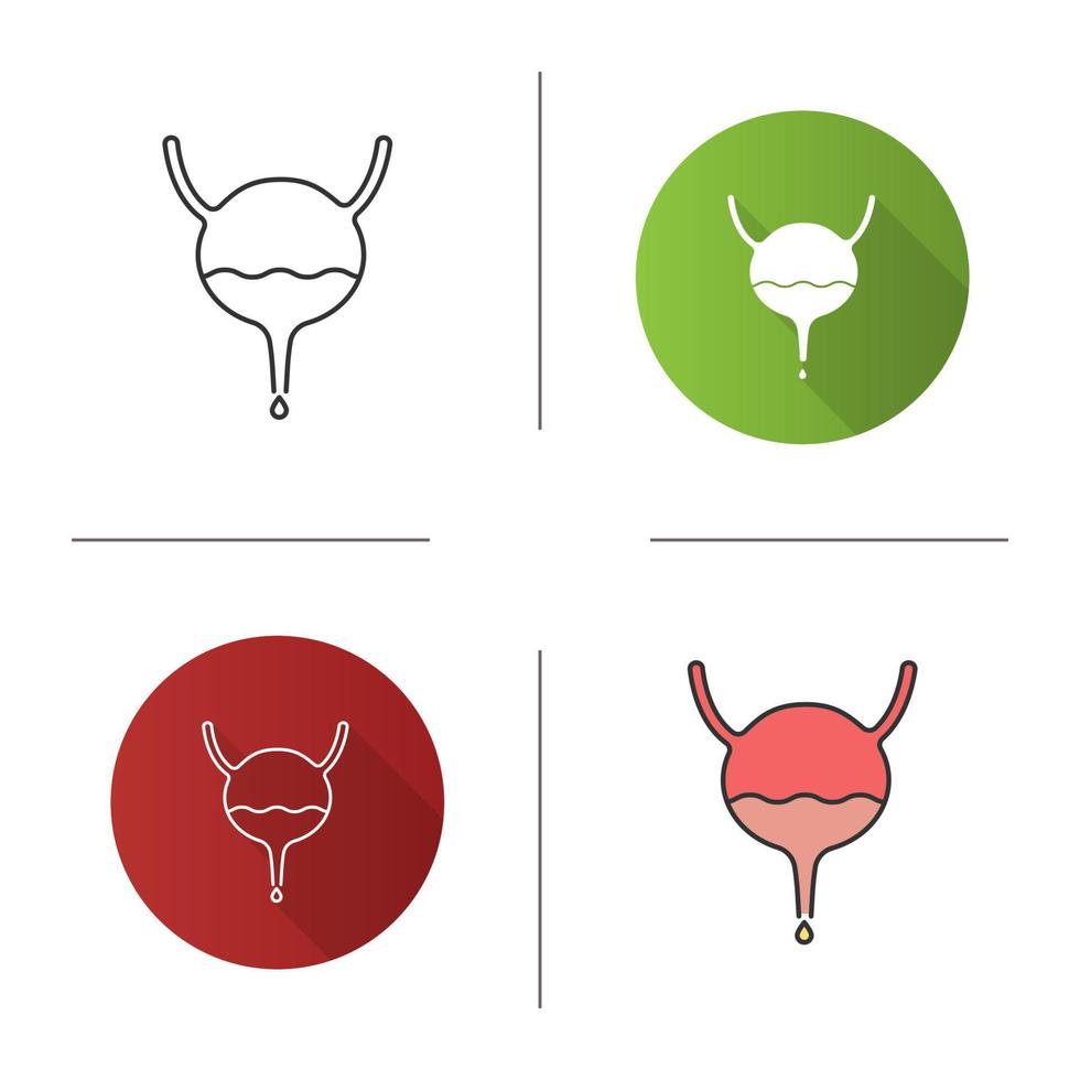 Urinary bladder, ureter and urethra icon. Urinary system. Flat design, linear and color styles. Isolated vector illustrations