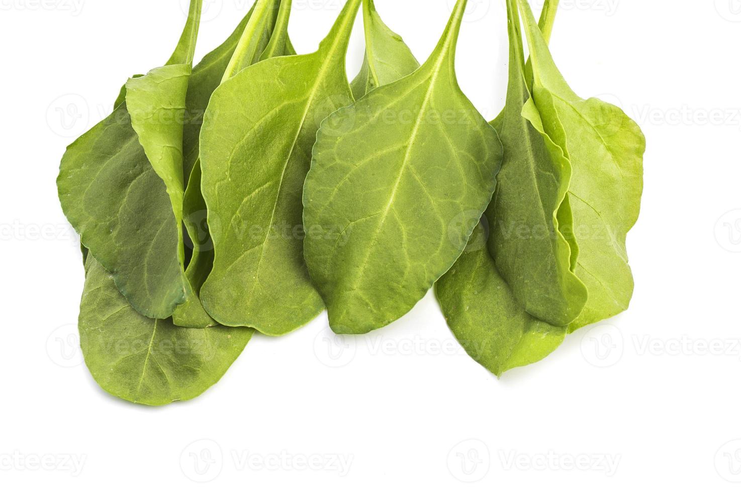Close up of fresh green spinach isolated on white background photo