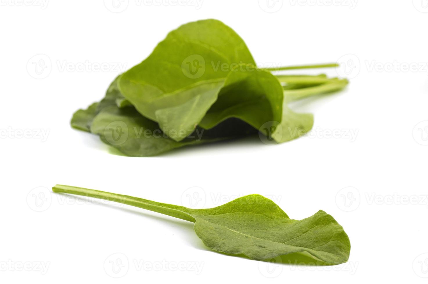 Close up of fresh green spinach isolated on white background photo