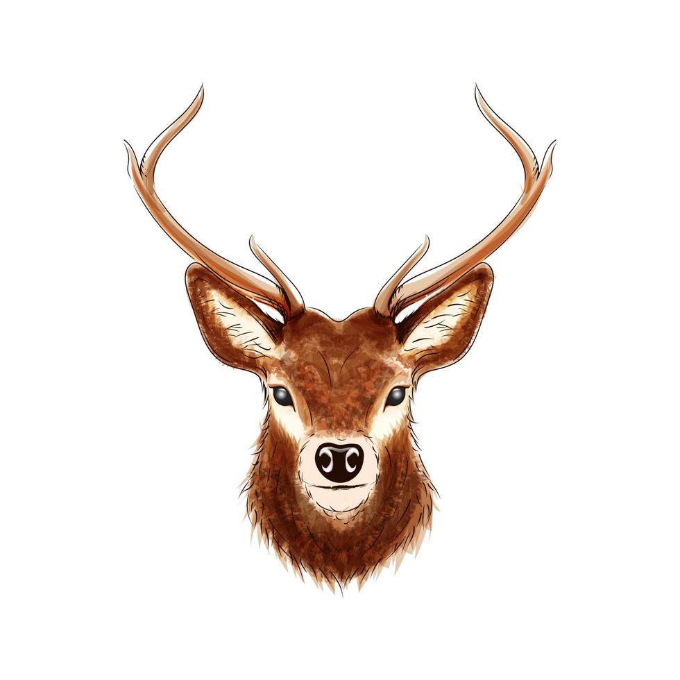 Hand drawn watercolor deer illustration vector