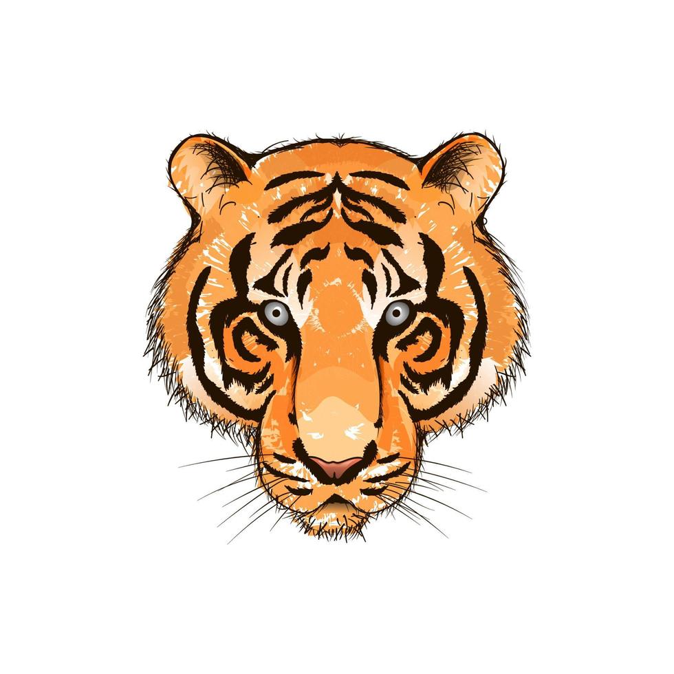 dibujado a mano ilustración de tigre de acuarela vector