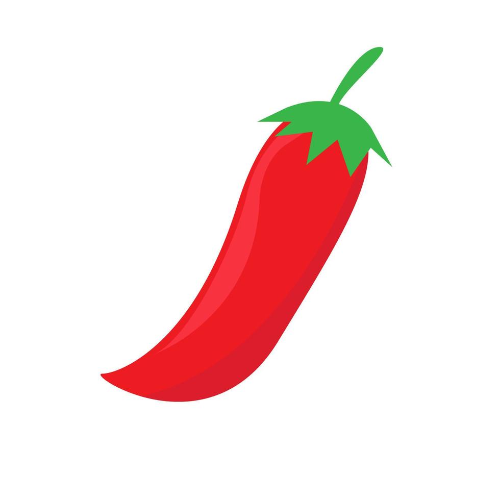 Chili vector design. Chili icon design