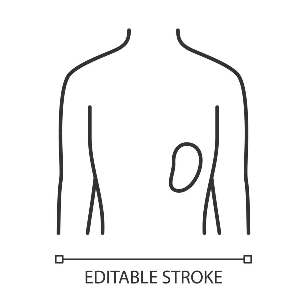 icono lineal de bazo sano. órgano humano en buen estado de salud. funcionamiento del sistema linfático. sano sistema inmunológico. Ilustración de línea fina. símbolo de contorno. dibujo de contorno aislado vectorial. trazo editable vector