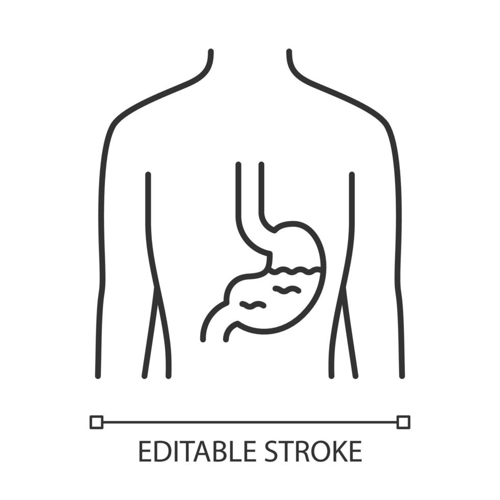 Healthy stomach linear icon. Human organ in good health. Functioning digestive system. Gastrointestinal tract. Thin line illustration. Contour symbol. Vector isolated outline drawing. Editable stroke