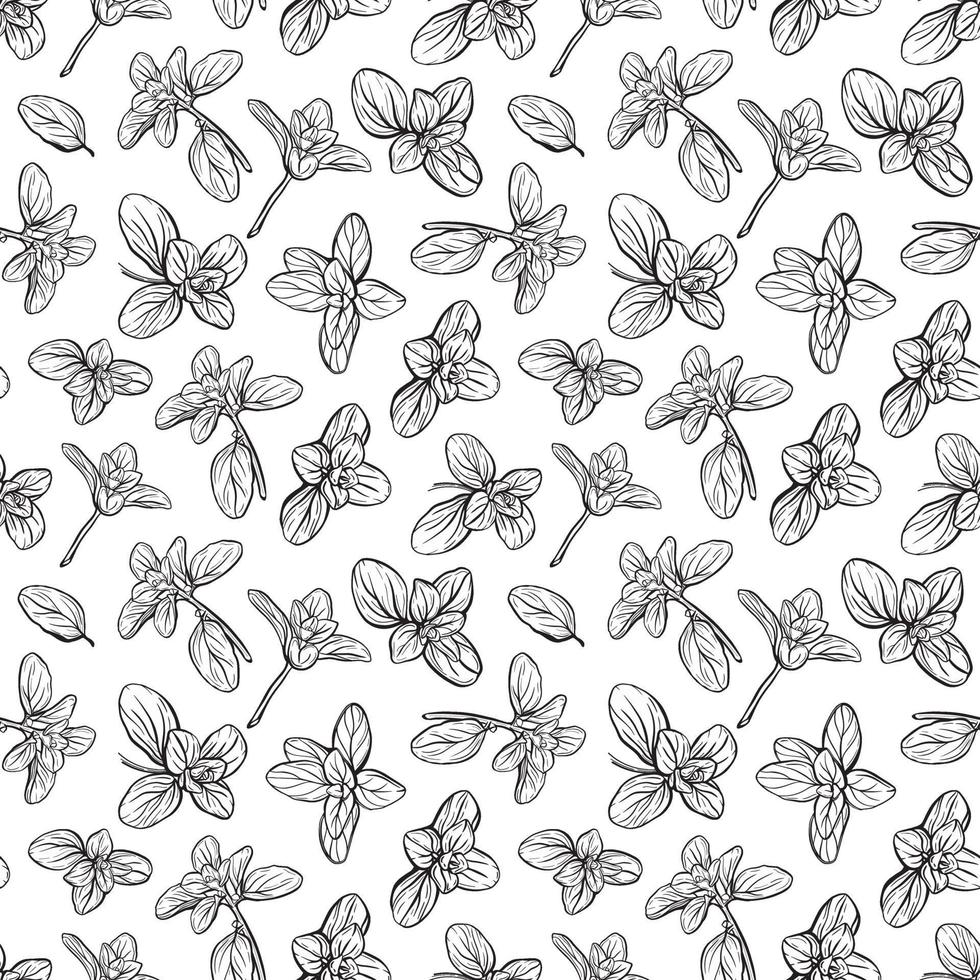 Seamless patter of basil leaves vector