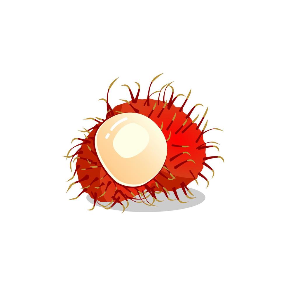 fruta de rambután, ingrediente sabroso y jugoso de verano. frutas tropicales. fruta nutritiva con cáscara peluda y pulpa dulce y comestible. Ilustración de dibujos animados de vector rambután aislado sobre fondo blanco