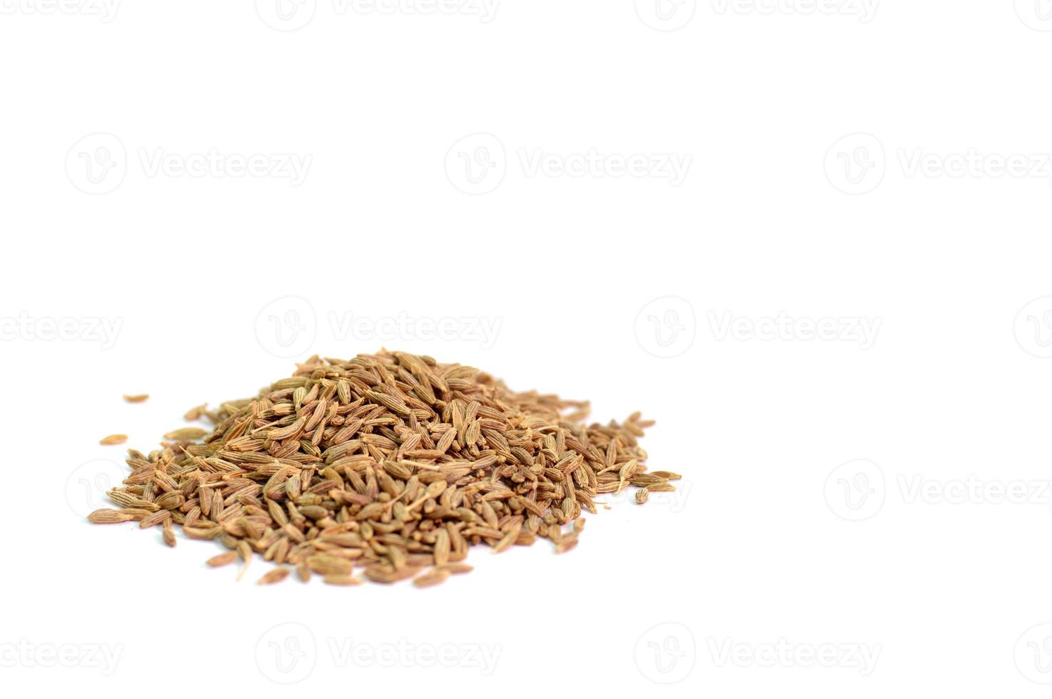 cumin seeds isolated on white background photo