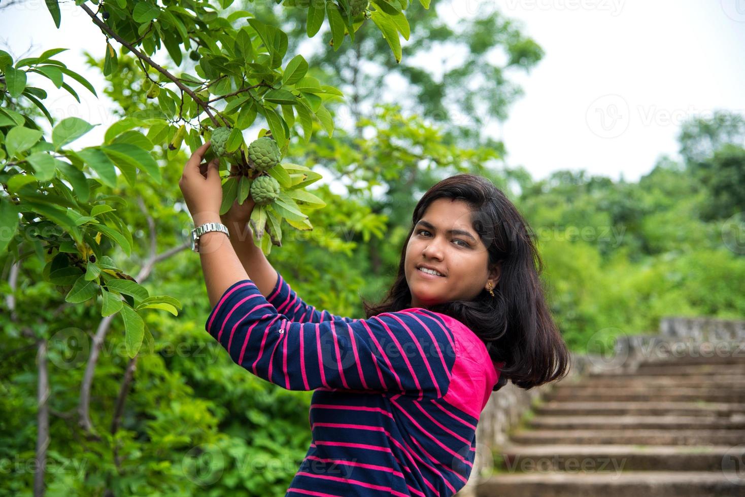 Young girl examine or observing at field of Custard apples or Sugar apples growing on a tree. photo