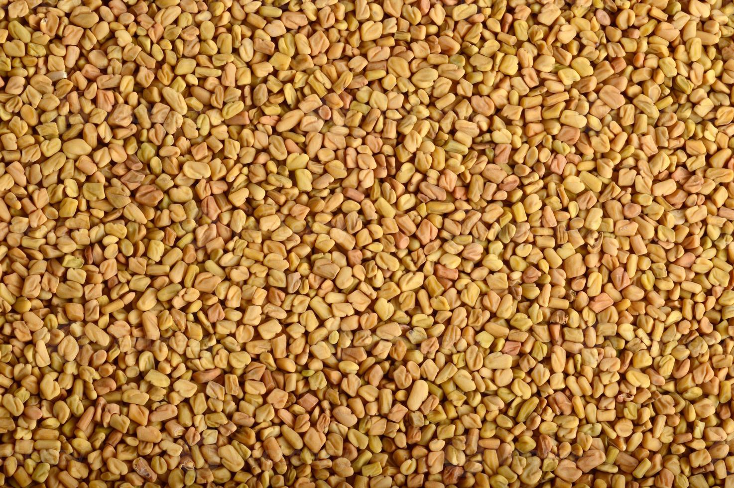 Fenugreek seeds as background. Close up texture photo