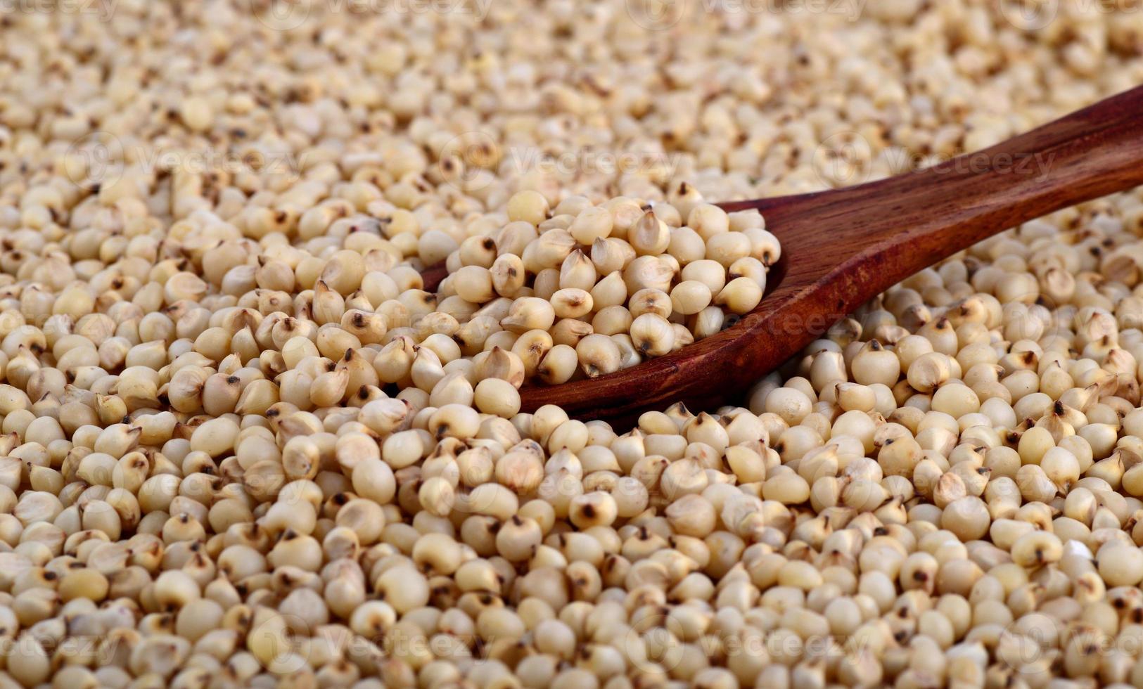 close up of Sorghum with wooden spoon. photo