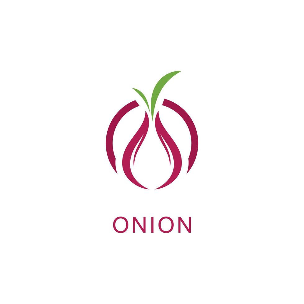 Onion logo vector , red onion icon . illustration Simple onion symbol