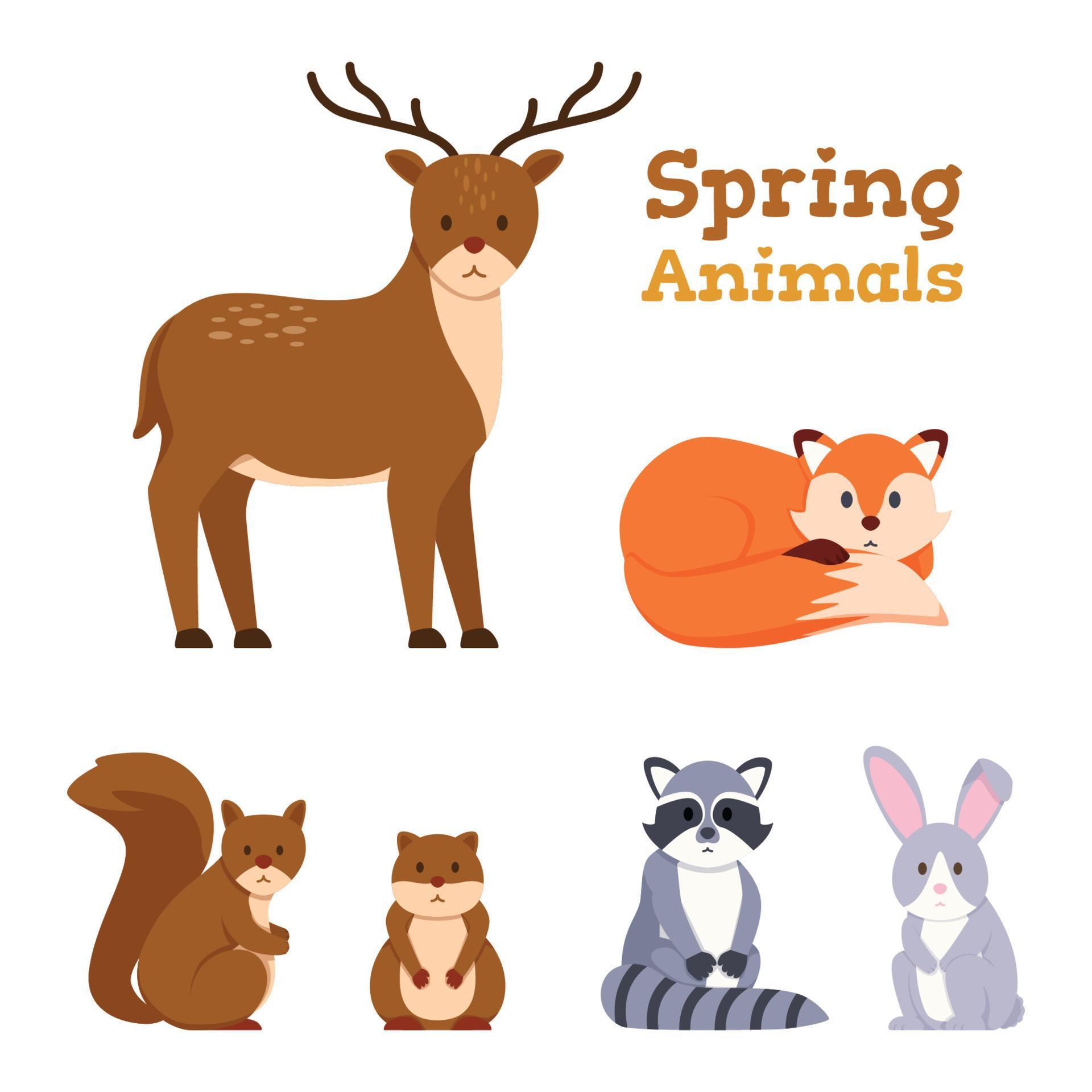 Spring Animals Character Set 4983923 Vector Art at Vecteezy