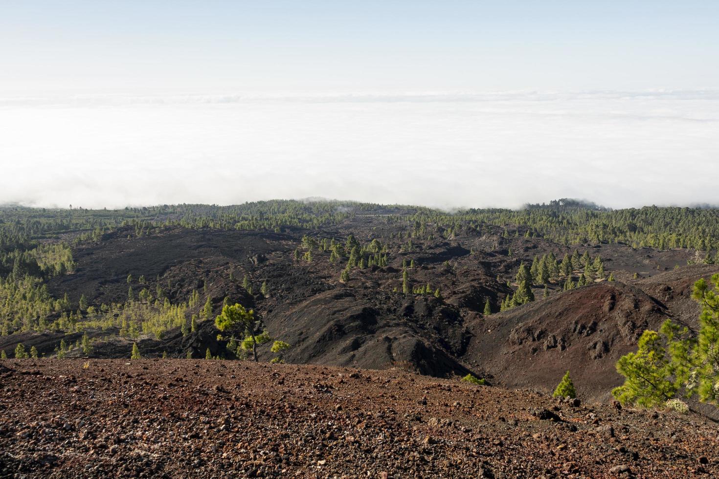 suelo volcánico con bosque siempreverde foto
