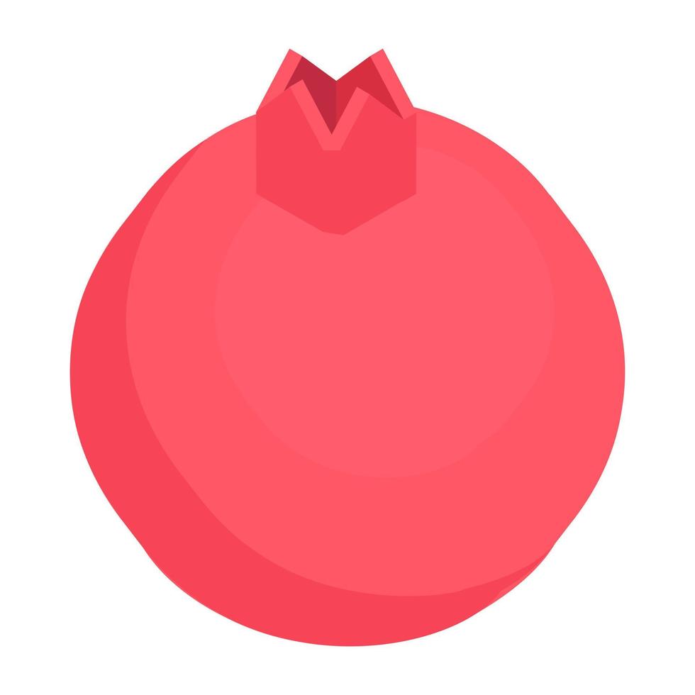 Trendy Pomegranate Concepts vector