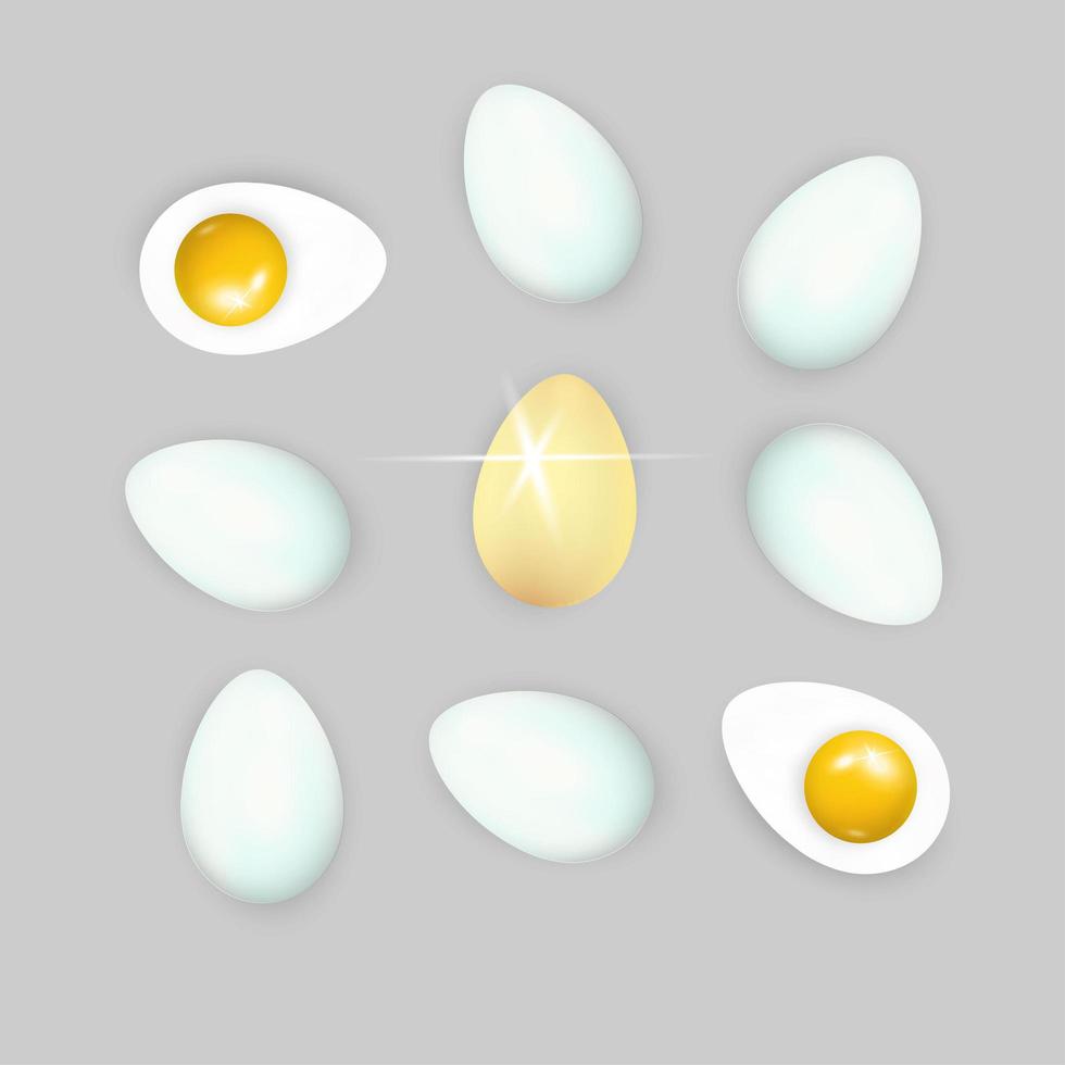 Set of realistic white , dark and light brown chicken eggs. Vector illustration isolated on white background