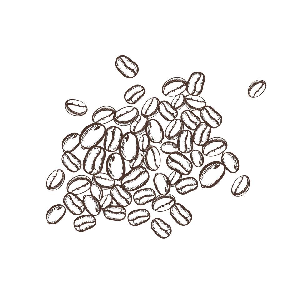 montón de granos de café dibujados a mano. ilustración vectorial monocromática en estilo retro vector