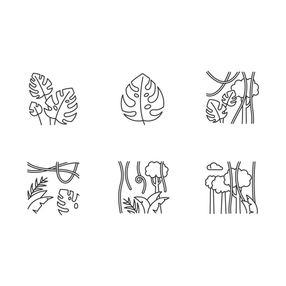 Rainforest linear color icons set. Evergreen forest vines. Swiss cheese plant. Indonesian jungle. Thin line contour symbols. Isolated vector outline illustrations. Editable stroke. Perfect pixel