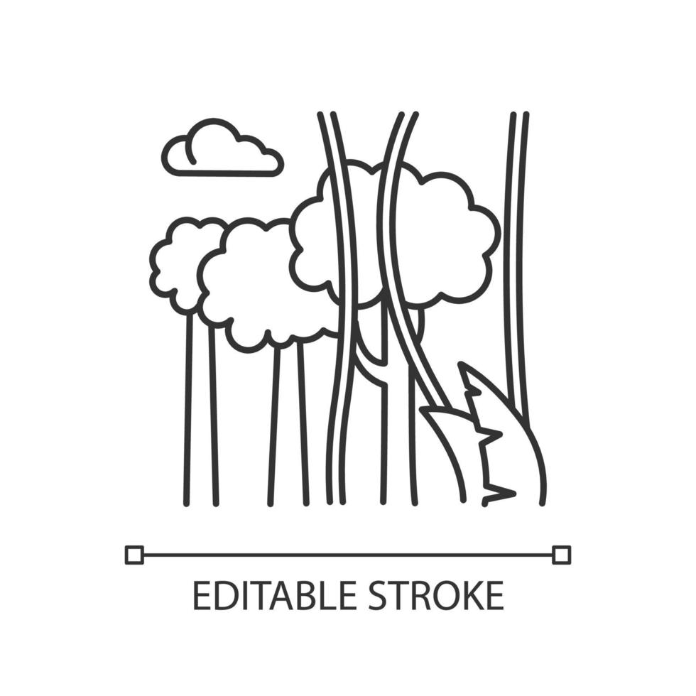Rainforest plants linear light icon. Evergreen trees, vines. Swiss cheese plant and lianas. Indonesian forest. Thin line illustration. Contour symbol. Vector isolated outline drawing. Editable stroke