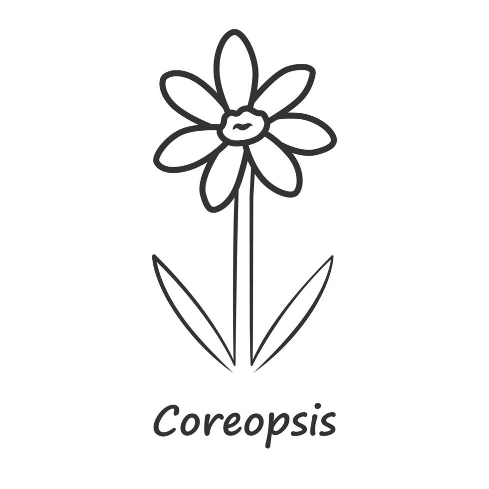 Coreopsis linear icon. Thin line illustration. Rudbeckia garden flower with name inscription. Calliopsis plant inflorescence. Blooming daisy, camomile wildflower. Vector isolated outline drawing