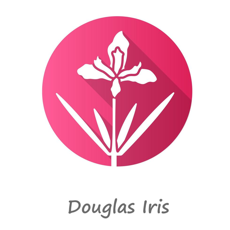 Douglas iris plant pink flat design long shadow glyph icon. California blooming wildflower. Garden flower, weed. Iris douglasiana inflorescence. Spring blossom. Vector silhouette illustration