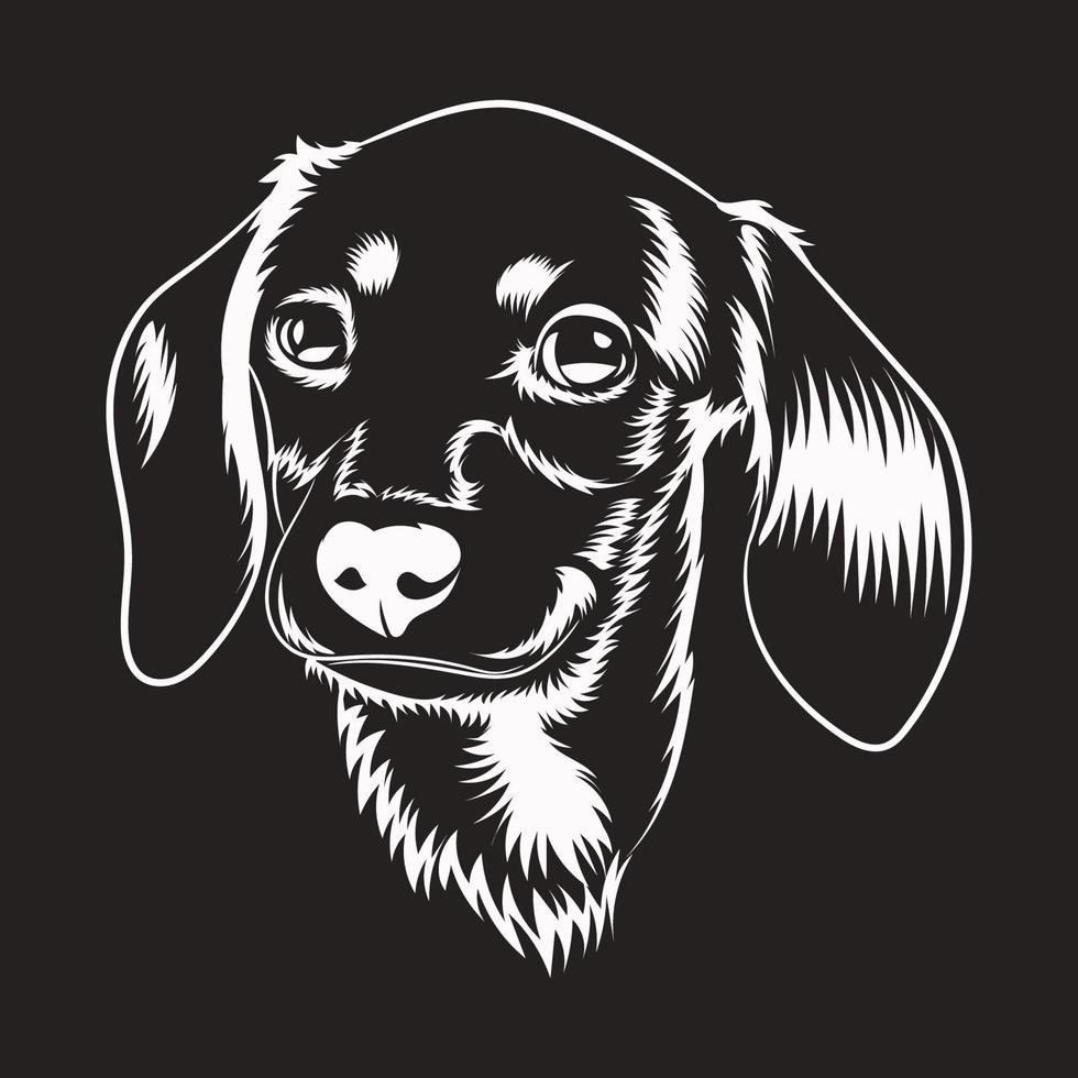 Vector illustration of a Dachshund dog. Black white illustration of a dachshund dog