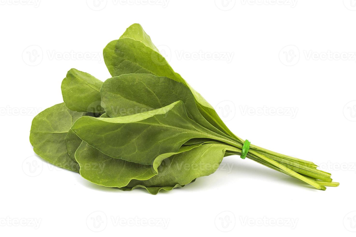 Spinach Bunch Stock Photos, Images and Backgrounds for Free Download